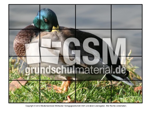 Puzzle-Stockente-1.pdf